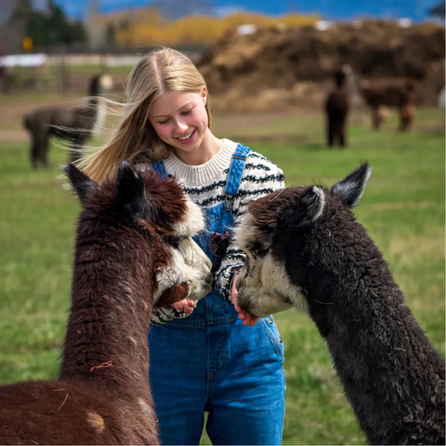 Alpaca & Llama Farm Tour Experience