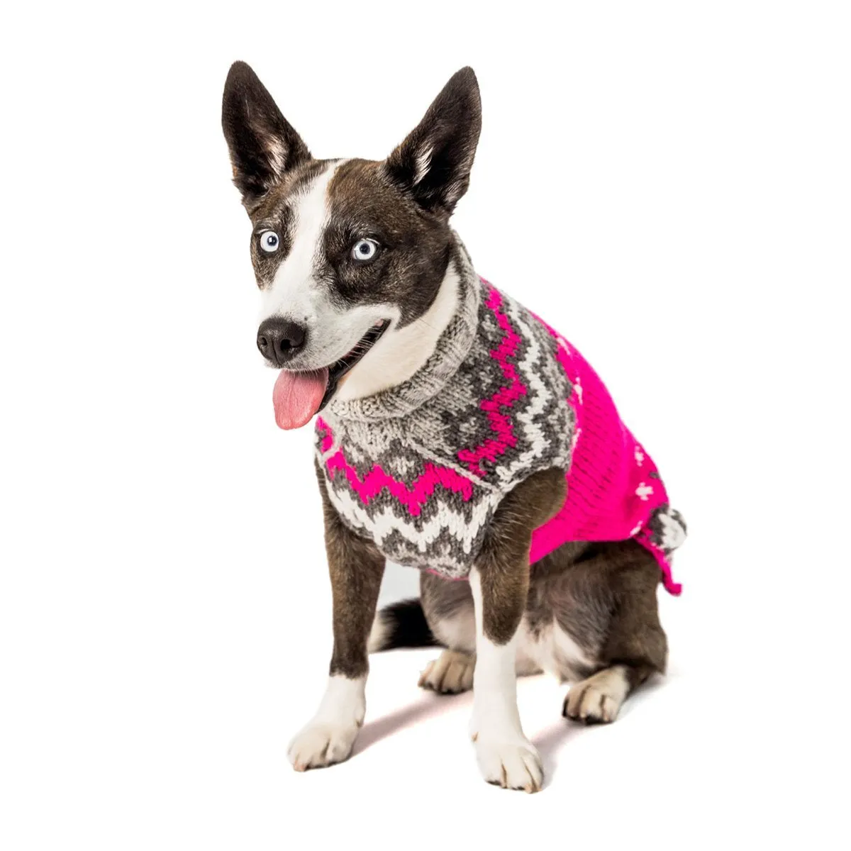 Hot Pink Ski Dog Sweater